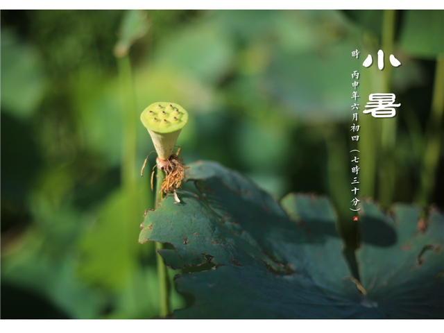 小暑节气必吃的传统食物