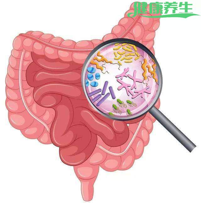 肠道不健康，人也跟着变丑，保护肠道健康请这样做