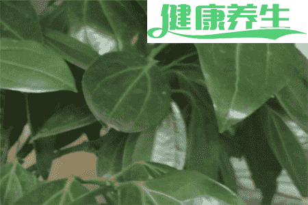 平安树