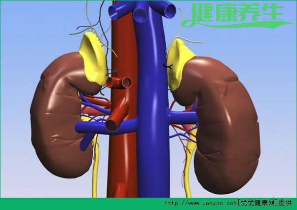 肾火怎么治疗？得了肾火怎么办？(1)