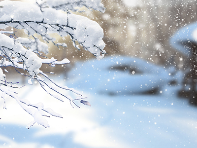 今日小雪时节 养生手册请收好