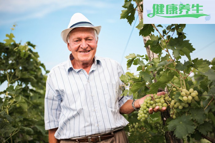 立夏养生吃什么祛湿